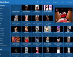 Mydesi.net
